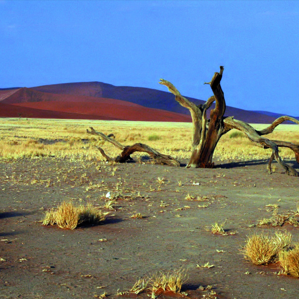 Experience Africa intensively: in small groups and with local expertise
